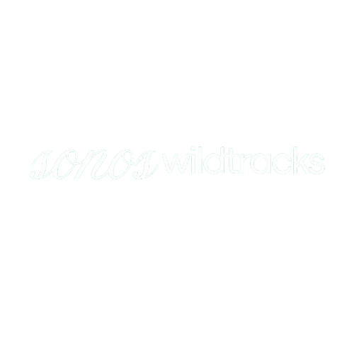 sonoswildtracks.com | ห้องเรียนออนไลน์ คืออะไร เรียนยังไง